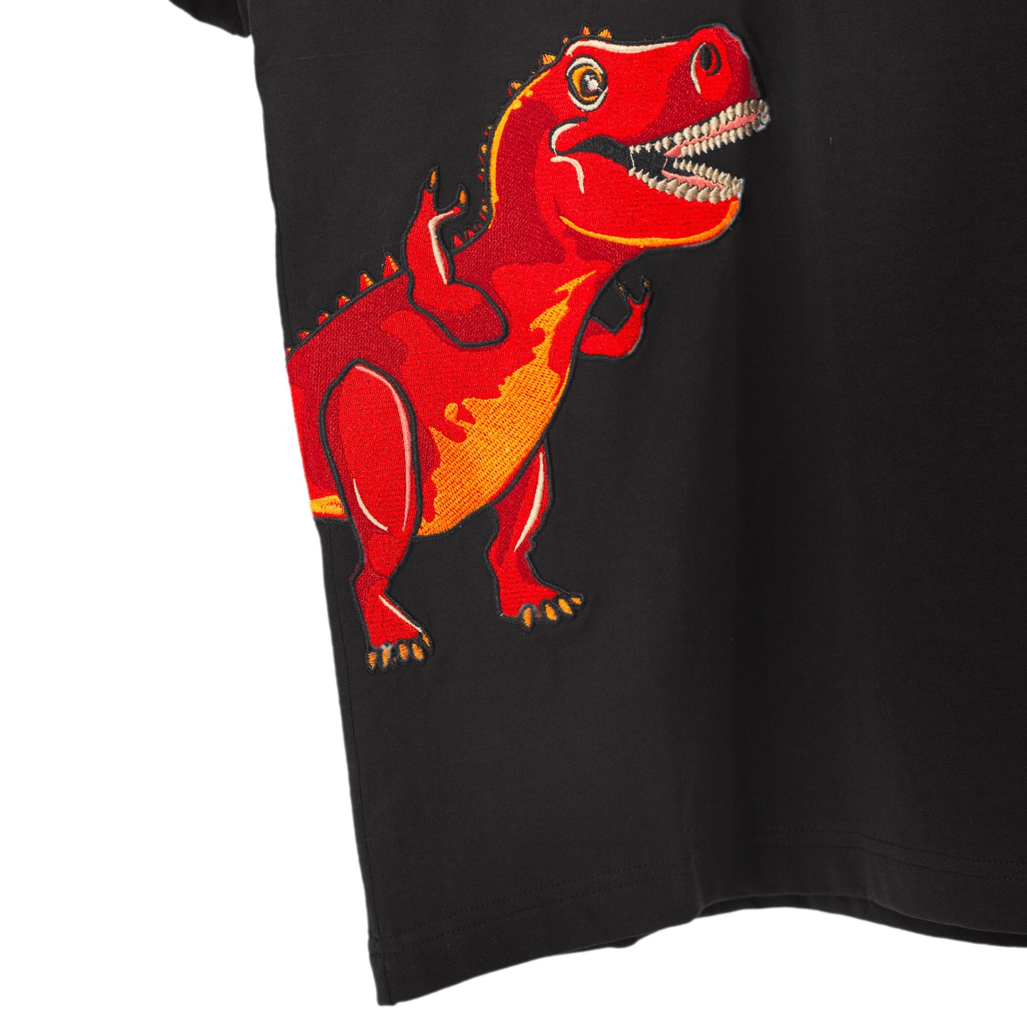 Embroidery Dinosaur on Black T-Shirt